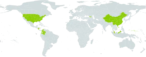 Monarda fistulosa world distribution map, present in Åland Islands, China, Colombia, Micronesia (Federated States of), Georgia, Malaysia, Nicaragua, and United States of America