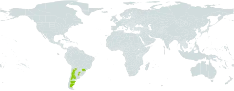 Monnina dictyocarpa world distribution map, present in Argentina, Brazil, and Uruguay