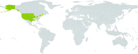 Monolepis nuttalliana world distribution map, present in United States of America