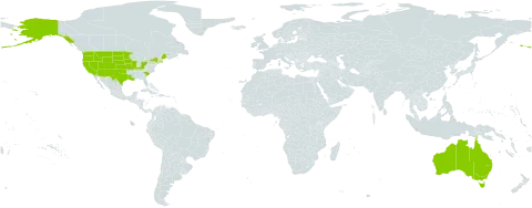 Monolepis world distribution map, present in Australia and United States of America