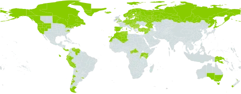 Montia fontana world distribution map, present in Albania, Argentina, American Samoa, Australia, Austria, Burundi, Belgium, Bulgaria, Bosnia and Herzegovina, Belarus, Bolivia (Plurinational State of), Central African Republic, Canada, Switzerland, Chile, Colombia, Costa Rica, Czech Republic, Germany, Denmark, Algeria, Ecuador, Spain, Estonia, Finland, Falkland Islands (Malvinas), France, United Kingdom of Great Britain and Northern Ireland, Georgia, Greece, Greenland, Croatia, Hungary, Iceland, Italy, Japan, Kenya, Lebanon, Liechtenstein, Lithuania, Luxembourg, Latvia, Morocco, Mexico, North Macedonia, Malta, Montenegro, Netherlands, Norway, New Zealand, Panama, Peru, Papua New Guinea, Poland, Portugal, Romania, Russian Federation, Rwanda, South Georgia and the South Sandwich Islands, Saint Pierre and Miquelon, Serbia, Slovakia, Slovenia, Sweden, Syrian Arab Republic, Tunisia, Turkey, Tanzania, United Republic of, Uganda, Uruguay, United States of America, and Venezuela (Bolivarian Republic of)
