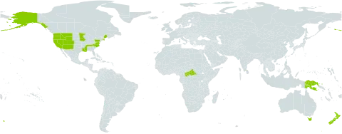 Montia world distribution map, present in Australia, Central African Republic, Sri Lanka, New Zealand, Papua New Guinea, Tanzania, United Republic of, and United States of America