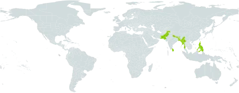 Mucuna diplax world distribution map, present in Bangladesh, Bhutan, India, Sri Lanka, Myanmar, Nepal, Pakistan, and Philippines