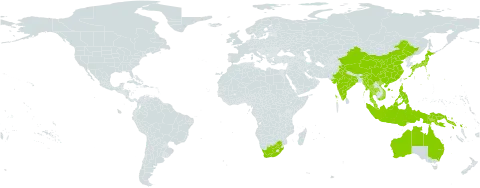Mucuna gigantea subsp. gigantea world distribution map, present in Australia, China, Indonesia, India, Japan, Myanmar, Malaysia, Philippines, Papua New Guinea, Solomon Islands, Thailand, Viet Nam, and South Africa