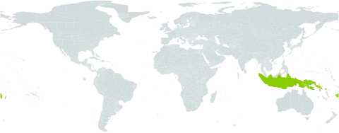 Mucuna platyphylla world distribution map, present in Barbados, Fiji, Indonesia, Papua New Guinea, Solomon Islands, Tonga, and United States of America
