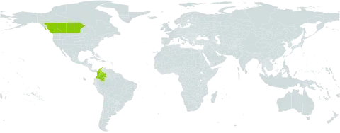 Muhlenbergia paniculata world distribution map, present in Canada and Colombia