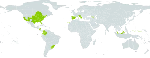 Muhlenbergia schreberi world distribution map, present in Åland Islands, Brazil, Canada, Colombia, Spain, Micronesia (Federated States of), Georgia, Italy, Malaysia, Nicaragua, Uruguay, and United States of America