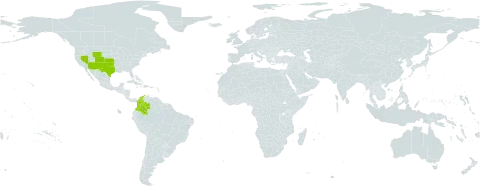 Muhlenbergia torreyi world distribution map, present in Colombia and United States of America