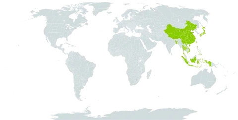 Murdannia loriformis world distribution map, present in Bangladesh, China, Indonesia, Japan, Philippines, Thailand, Taiwan, Province of China, and Viet Nam