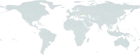 Mussaendopsis world distribution map, present in Moldova (Republic of)