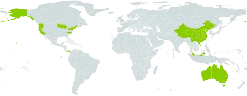 Myrica world distribution map, present in Australia, China, Saint Lucia, Malaysia, Panama, and United States of America