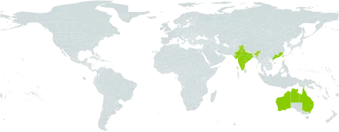 Myriophyllum dicoccum world distribution map, present in Australia, China, India, Taiwan, Province of China, and Viet Nam