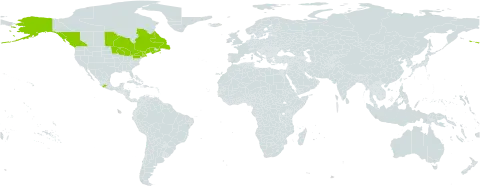 Myriophyllum farwellii world distribution map, present in Canada, Mexico, and United States of America
