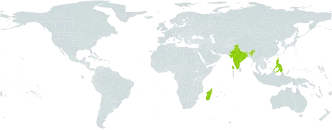 Myristica philippensis world distribution map, present in India, Madagascar, Martinique, Mauritius, and Philippines