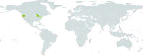 Myrrhis world distribution map, present in United States of America
