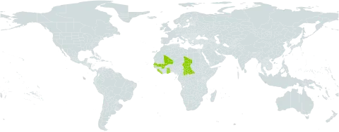 Najas baldwinii world distribution map, present in Central African Republic, Ghana, Liberia, Mali, Senegal, Sierra Leone, and Chad