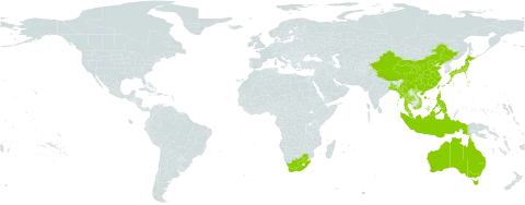 Najas indica world distribution map, present in Andorra, Australia, Bangladesh, China, Indonesia, India, Japan, Myanmar, Malaysia, Pakistan, Philippines, Thailand, Taiwan, Province of China, Viet Nam, and South Africa