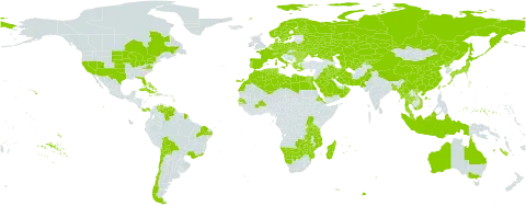 Najas marina world distribution map, present in Aruba, Australia, Austria, Burkina Faso, Bangladesh, Bulgaria, Bahamas, Belarus, Bolivia (Plurinational State of), Brazil, Botswana, Canada, Switzerland, Chile, China, Cuba, Cyprus, Czech Republic, Germany, Dominica, Denmark, Algeria, Egypt, Eritrea, Spain, Finland, France, Micronesia (Federated States of), Greece, Haiti, Hungary, Indonesia, Iran (Islamic Republic of), Iraq, Italy, Jamaica, Japan, Kazakhstan, Kyrgyzstan, Libya, Morocco, Moldova (Republic of), Madagascar, Myanmar, Montenegro, Mozambique, Mauritius, Malaysia, Namibia, Netherlands, Norway, Oman, Pakistan, Panama, Palau, Poland, Puerto Rico, Korea (Democratic People's Republic of), Portugal, Réunion, Romania, Russian Federation, Rwanda, Saudi Arabia, Senegal, Singapore, South Georgia and the South Sandwich Islands, Sweden, Turks and Caicos Islands, Thailand, Turkmenistan, Tunisia, Taiwan, Province of China, Tanzania, United Republic of, Uganda, Ukraine, United States of America, Uzbekistan, Venezuela (Bolivarian Republic of), Viet Nam, Zambia, and Zimbabwe