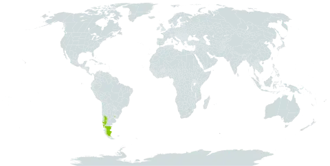Nassauvia argentea world distribution map, present in Argentina, Chile, and Uruguay