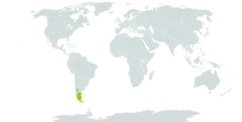 Nassauvia darwinii world distribution map, present in Argentina, Chile, and Uruguay
