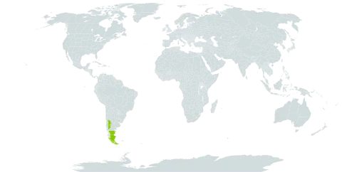 Nassauvia glomerulosa world distribution map, present in Argentina, Chile, and Uruguay