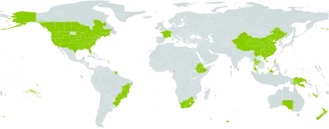 Nasturtium officinale world distribution map, present in Australia, Brazil, Canada, China, Cameroon, Ethiopia, France, Malaysia, New Zealand, Philippines, Papua New Guinea, Thailand, Uruguay, United States of America, and South Africa