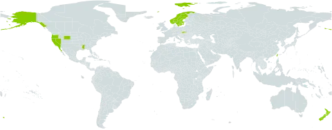 Nemophila menziesii world distribution map, present in Mexico, Norway, New Zealand, Slovakia, Sweden, Taiwan, Province of China, and United States of America
