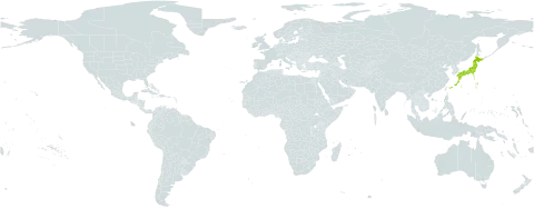 Nepeta yesoensis world distribution map, present in Japan