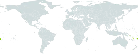 Nephrolepis lauterbachii world distribution map, present in Fiji, Indonesia, Papua New Guinea, Solomon Islands, Vanuatu, and Samoa