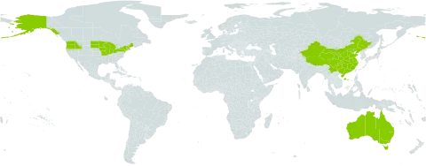 Neslia world distribution map, present in Australia, China, and United States of America