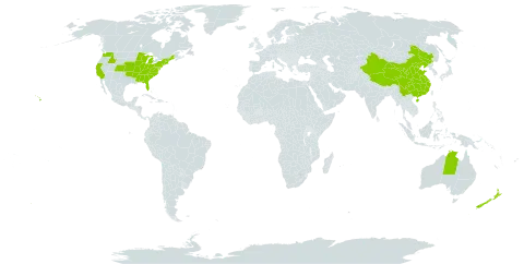 Nicandra world distribution map, present in Australia, China, New Zealand, and United States of America