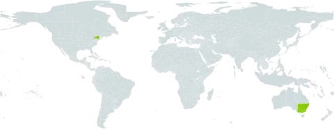 Nicotiana suaveolens world distribution map, present in Australia and United States of America