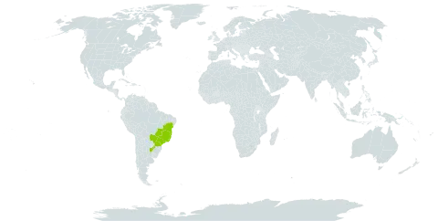 Niedenzuella sericea world distribution map, present in Argentina, Brazil, and Paraguay
