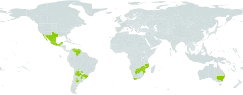 Nierembergia linariifolia world distribution map, present in Argentina, Australia, Bolivia (Plurinational State of), Brazil, Botswana, Mexico, Mozambique, Paraguay, Uruguay, United States of America, Venezuela (Bolivarian Republic of), South Africa, and Zimbabwe