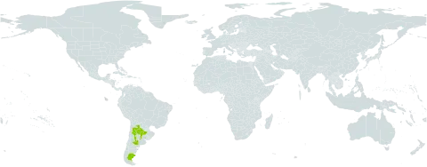 Nierembergia rigida world distribution map, present in Argentina and Uruguay