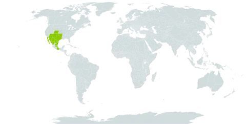 Notholaena standleyi world distribution map, present in Mexico and United States of America