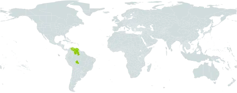 Notylia angustifolia world distribution map, present in Brazil and Venezuela (Bolivarian Republic of)