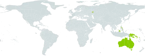 Ochrosia ackeringae world distribution map, present in Australia, Indonesia, Malaysia, Philippines, Papua New Guinea, Russian Federation, and Solomon Islands
