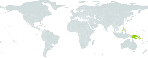 Ochrosia glomerata world distribution map, present in Indonesia, Philippines, Papua New Guinea, and Solomon Islands