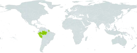 Ocotea cinerea world distribution map, present in Brazil, French Guiana, and Peru