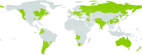 Oenothera glazioviana world distribution map, present in Afghanistan, Angola, Albania, Argentina, Australia, Austria, Azerbaijan, Burundi, Belgium, Bosnia and Herzegovina, Belarus, Brazil, Canada, Switzerland, Chile, China, Colombia, Czech Republic, Germany, Denmark, Ecuador, Spain, Finland, France, United Kingdom of Great Britain and Northern Ireland, Gibraltar, Greece, Croatia, Hungary, India, Iraq, Italy, Japan, Liechtenstein, Lesotho, Luxembourg, Moldova (Republic of), Netherlands, Nepal, New Zealand, Pakistan, Poland, Korea (Democratic People's Republic of), Portugal, Réunion, Romania, Russian Federation, Serbia, Slovakia, Slovenia, eSwatini, Taiwan, Province of China, Uruguay, United States of America, and South Africa