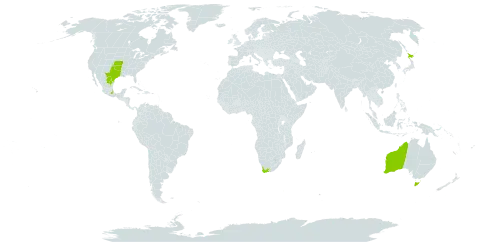 Oenothera jamesii world distribution map, present in Australia, Spain, Japan, Mexico, United States of America, and South Africa