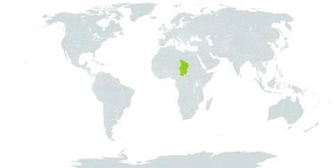 Oldenlandia toussidana world distribution map, present in Chad