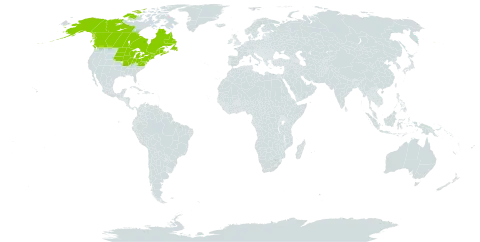 Onoclea pensylvatica world distribution map, present in Canada and United States of America