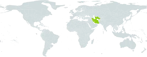 Onosma longiloba world distribution map, present in Iran (Islamic Republic of) and Turkmenistan