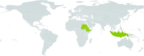 Ophiuros papillosus world distribution map, present in Eritrea, Ethiopia, Indonesia, and Sudan