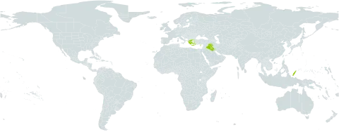 Ophrys fuciflora subsp. bornmuelleri world distribution map, present in Cyprus, Greece, Iraq, Palau, and Turks and Caicos Islands