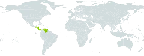 Ornithocephalus brachyceras world distribution map, present in Costa Rica, Guatemala, Honduras, Nicaragua, Panama, and Venezuela (Bolivarian Republic of)