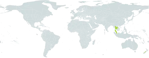 Osmelia maingayi world distribution map, present in Indonesia, Iceland, Malaysia, New Zealand, Singapore, and Thailand