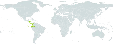 Otoba novogranatensis world distribution map, present in Colombia, Costa Rica, Ecuador, Honduras, Nicaragua, Panama, and Venezuela (Bolivarian Republic of)